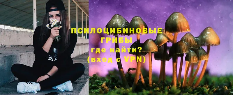 Псилоцибиновые грибы MAGIC MUSHROOMS  кракен tor  Георгиевск  что такое  